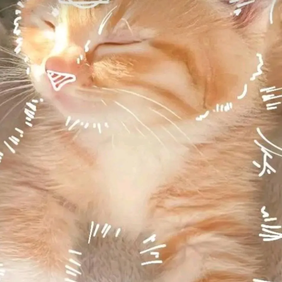 chat with ai character: H.H pick me 