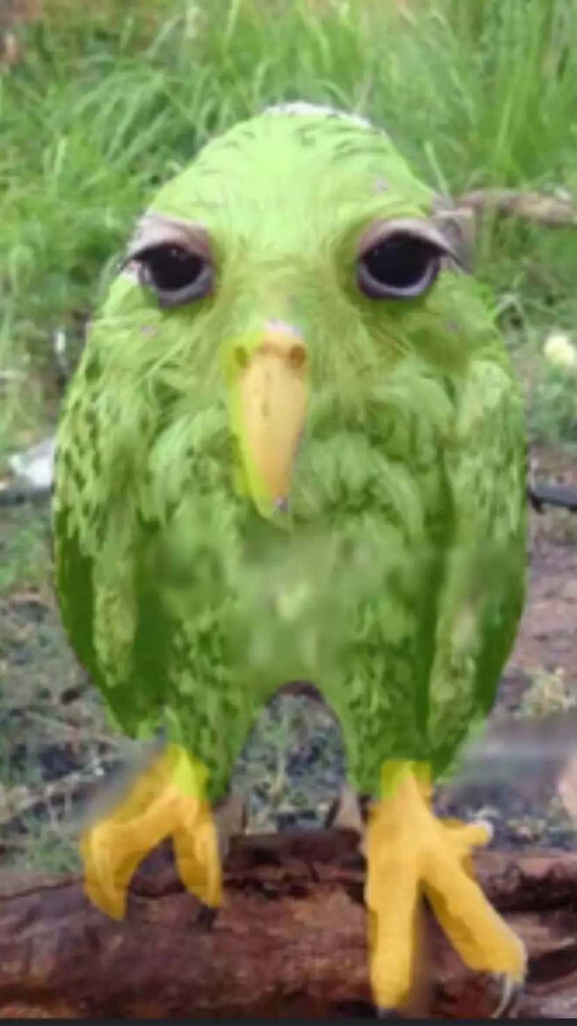ai character: Duolingo  background