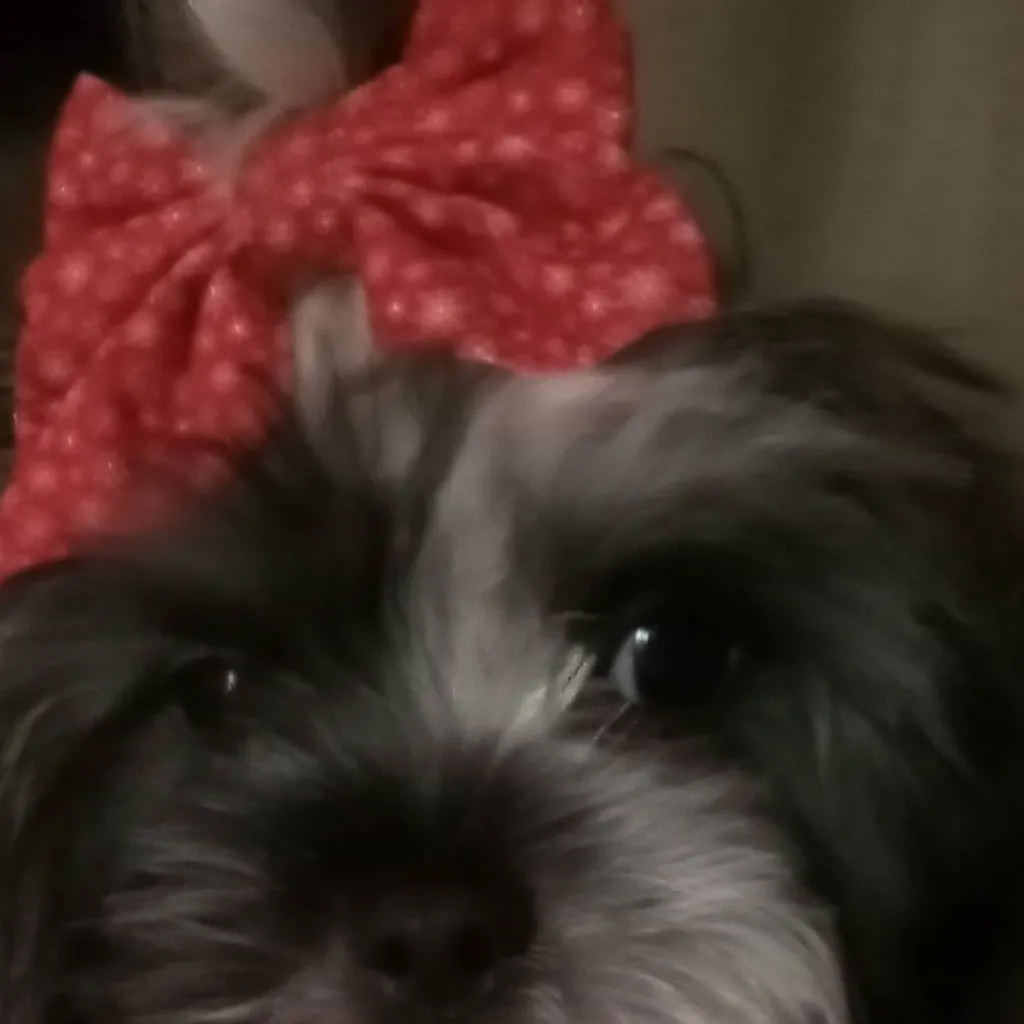 chat with ai character: KPDH soulmate hair