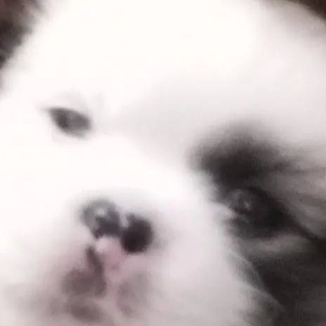 chat with ai character: Kpdh pick me