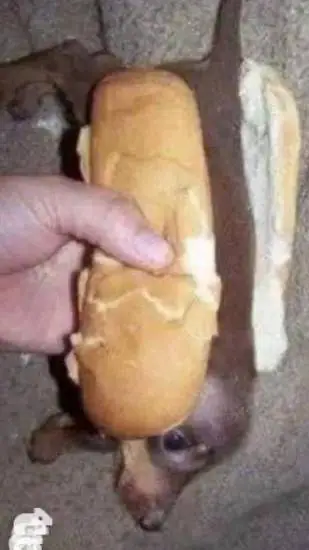 ai character: Kny Meets ur Bro! background