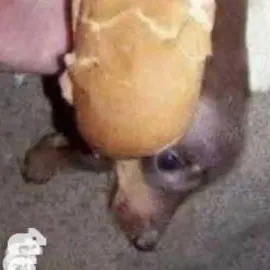 chat with ai character: Kny Meets ur Bro!