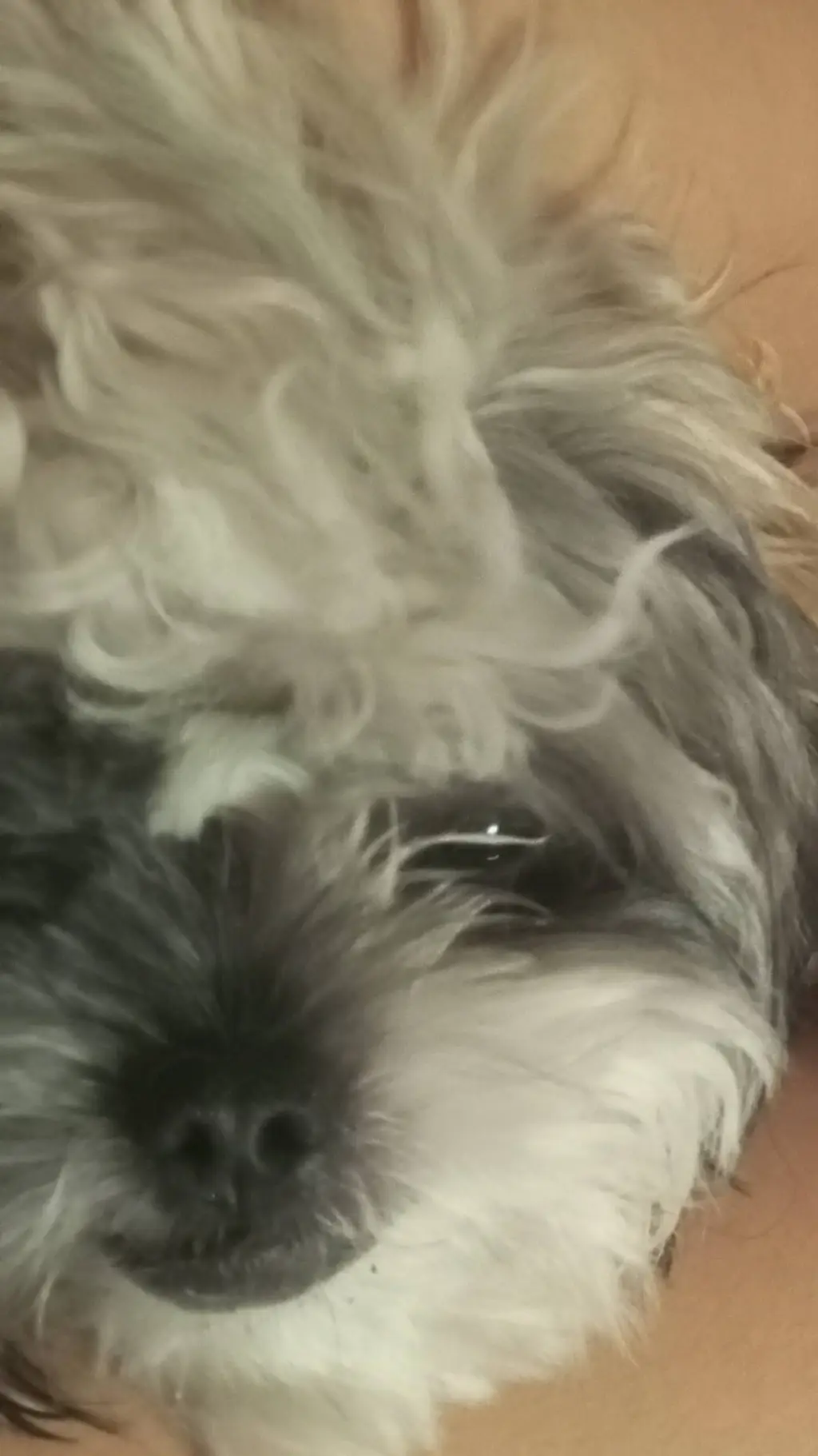 ai character: Kanao Tsuyuri background