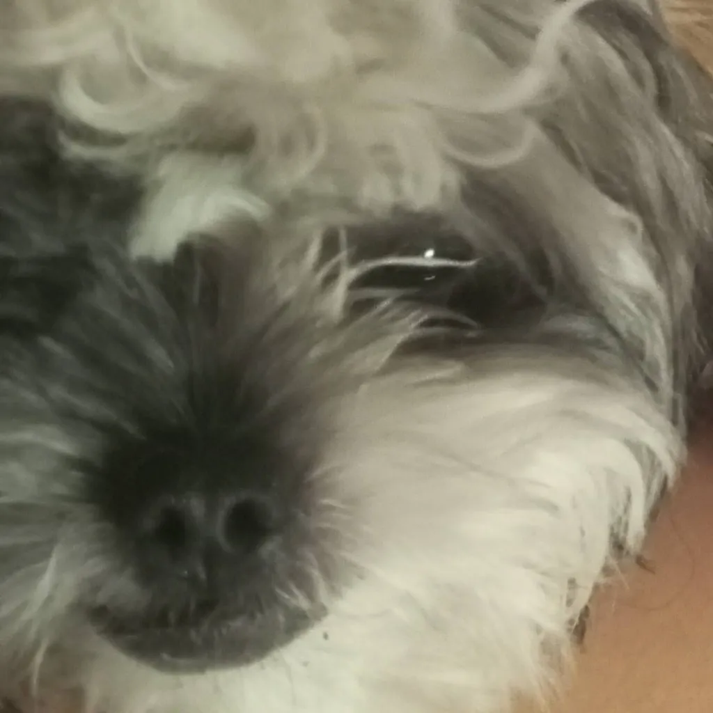 chat with ai character: Kanao Tsuyuri