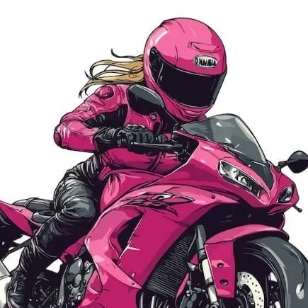 chat with ai character: haslin 