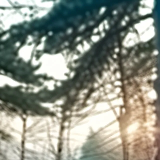 chat with ai character: husband 