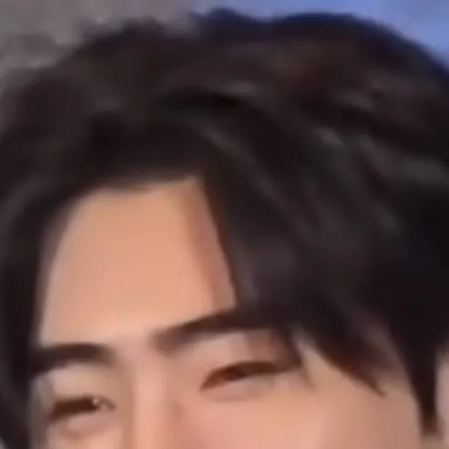 chat with ai character: ✨️Sunghoon✨️