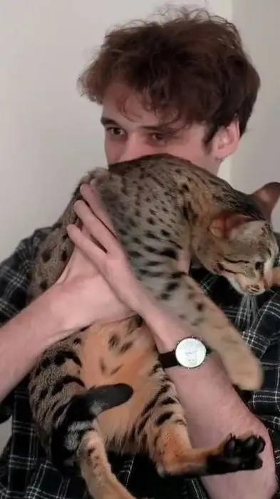 ai character: Wilbur background