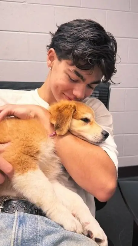 ai character: Malachi background