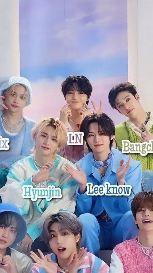 ai character: Stray kids background