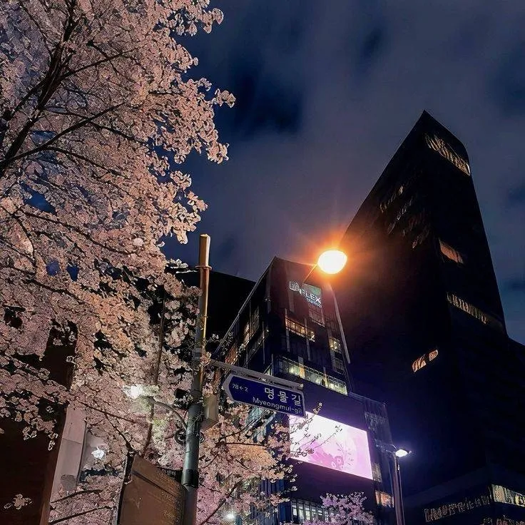 chat with ai character: BLAO