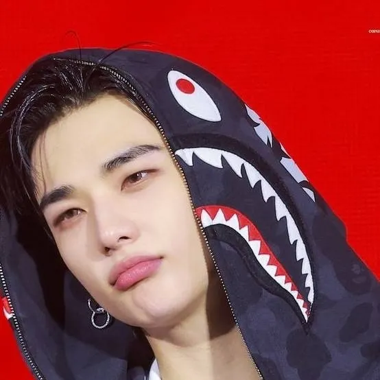 chat with ai character: Hyunjin 💕