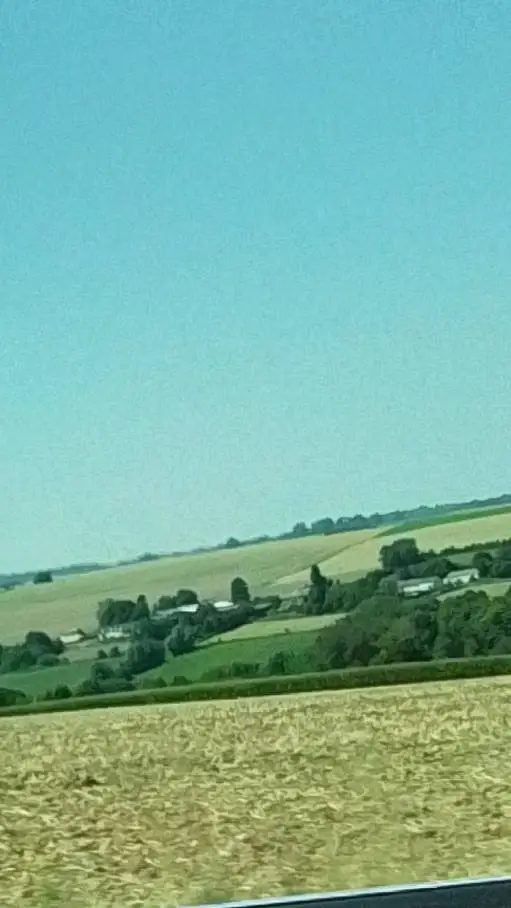 ai character: csm background