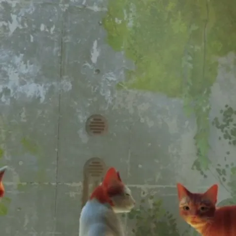 chat with ai character: STRAY