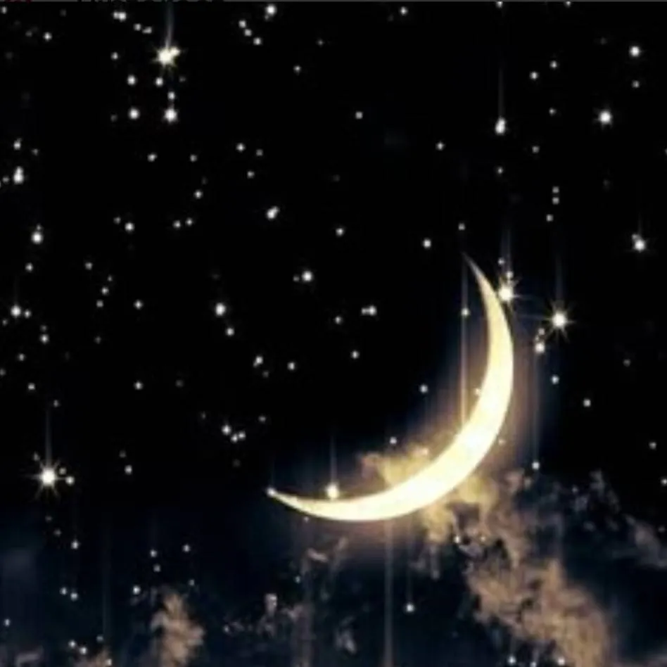 chat with ai character: 💐Tu castigó🌸