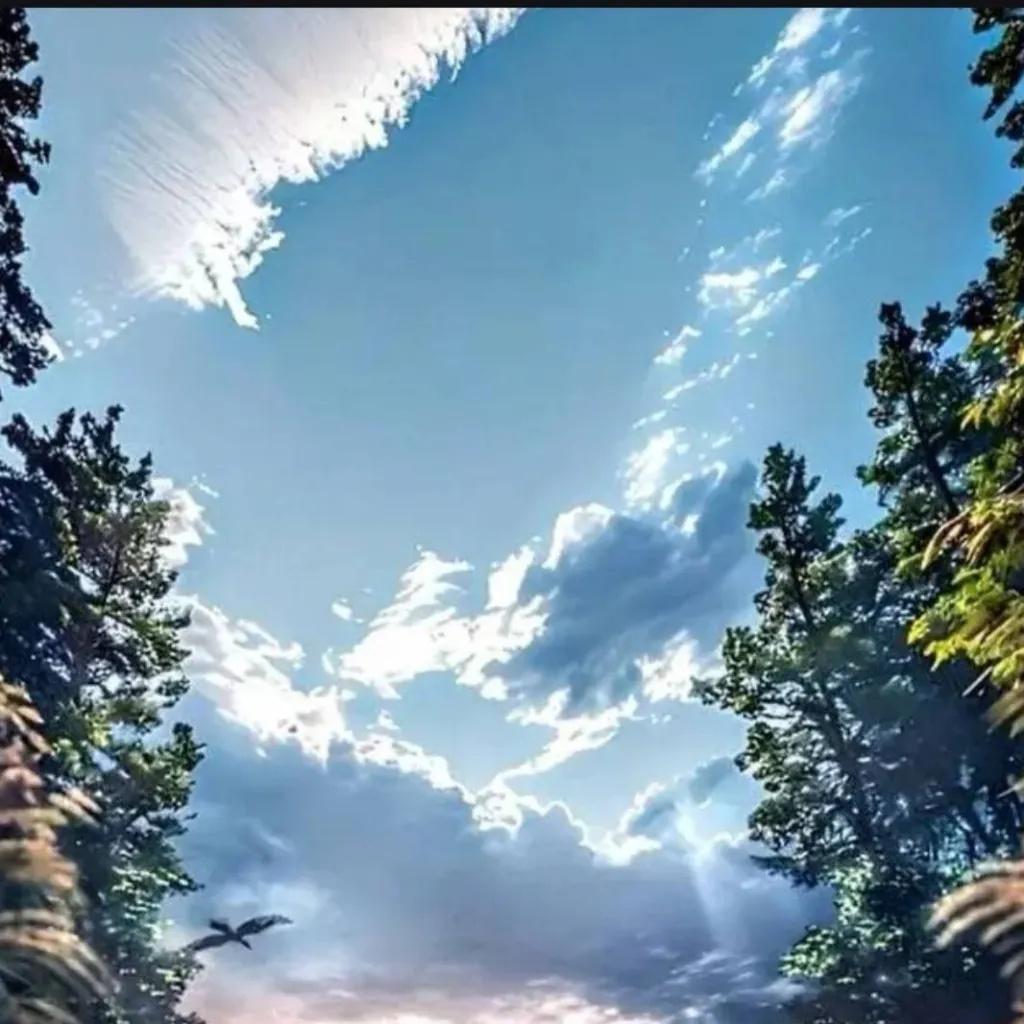 chat with ai character: 🪩El Hermoso dia💍