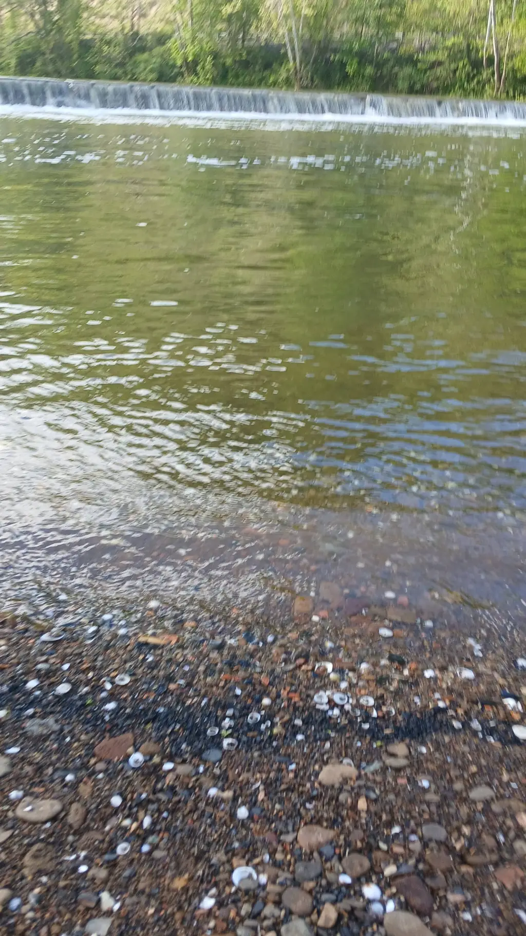 Talkie AI - Chat with lily