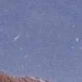 chat with ai character: Historuq