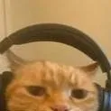 chat with ai character: Manolito el gato
