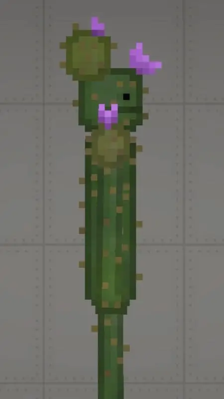 ai character: cactus background