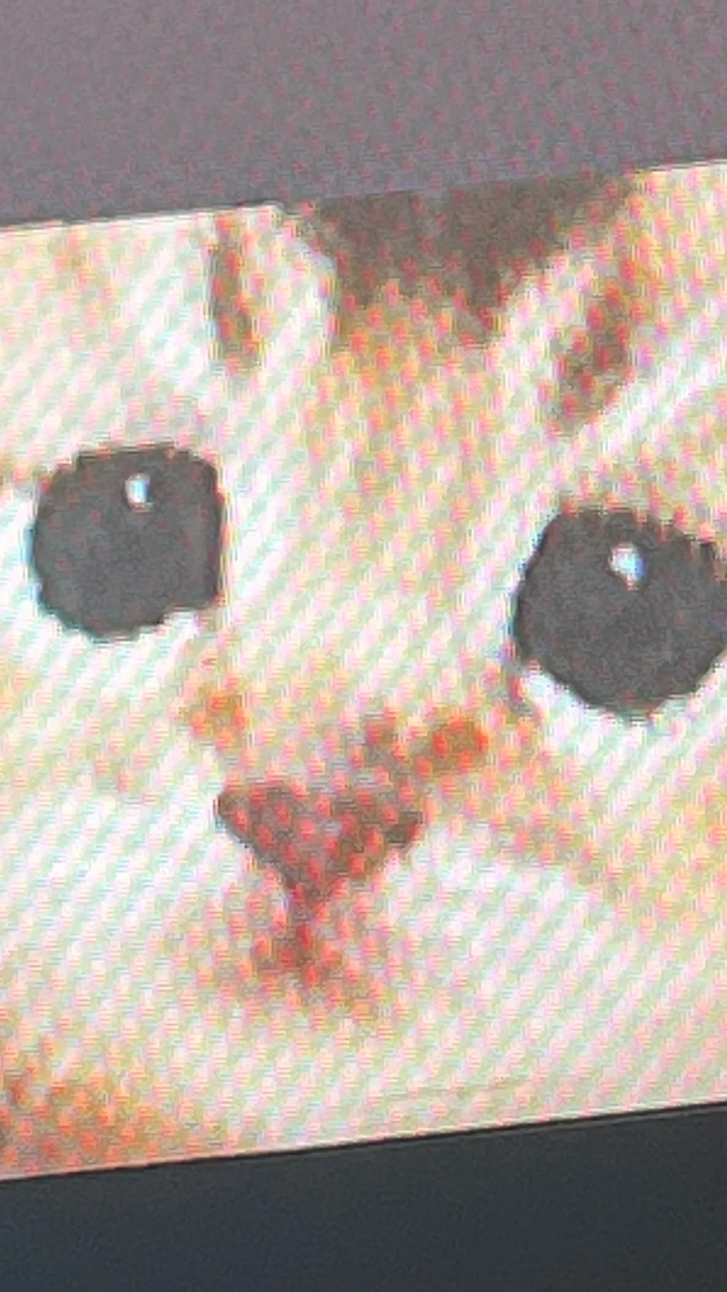 Talkie AI - Chat with Cute kitty ￼