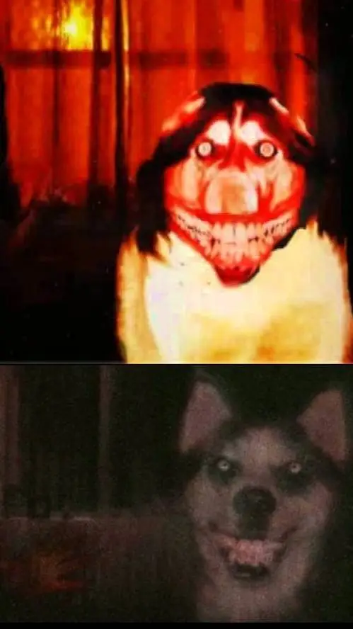 ai character: smiling dog  background