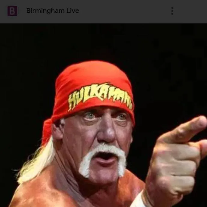 chat with ai character: Hulk Hogan 