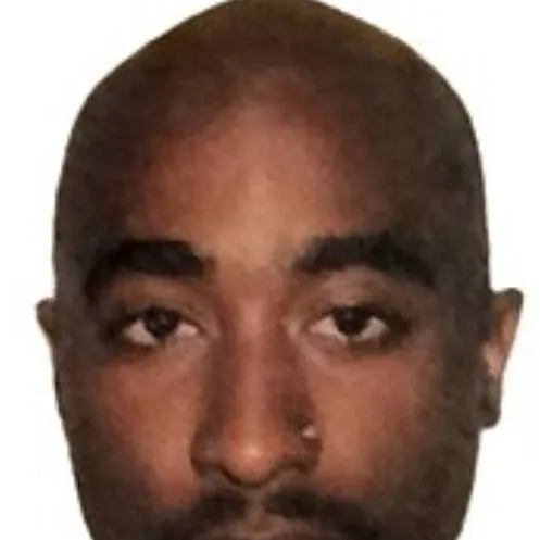 chat with ai character: 2pac