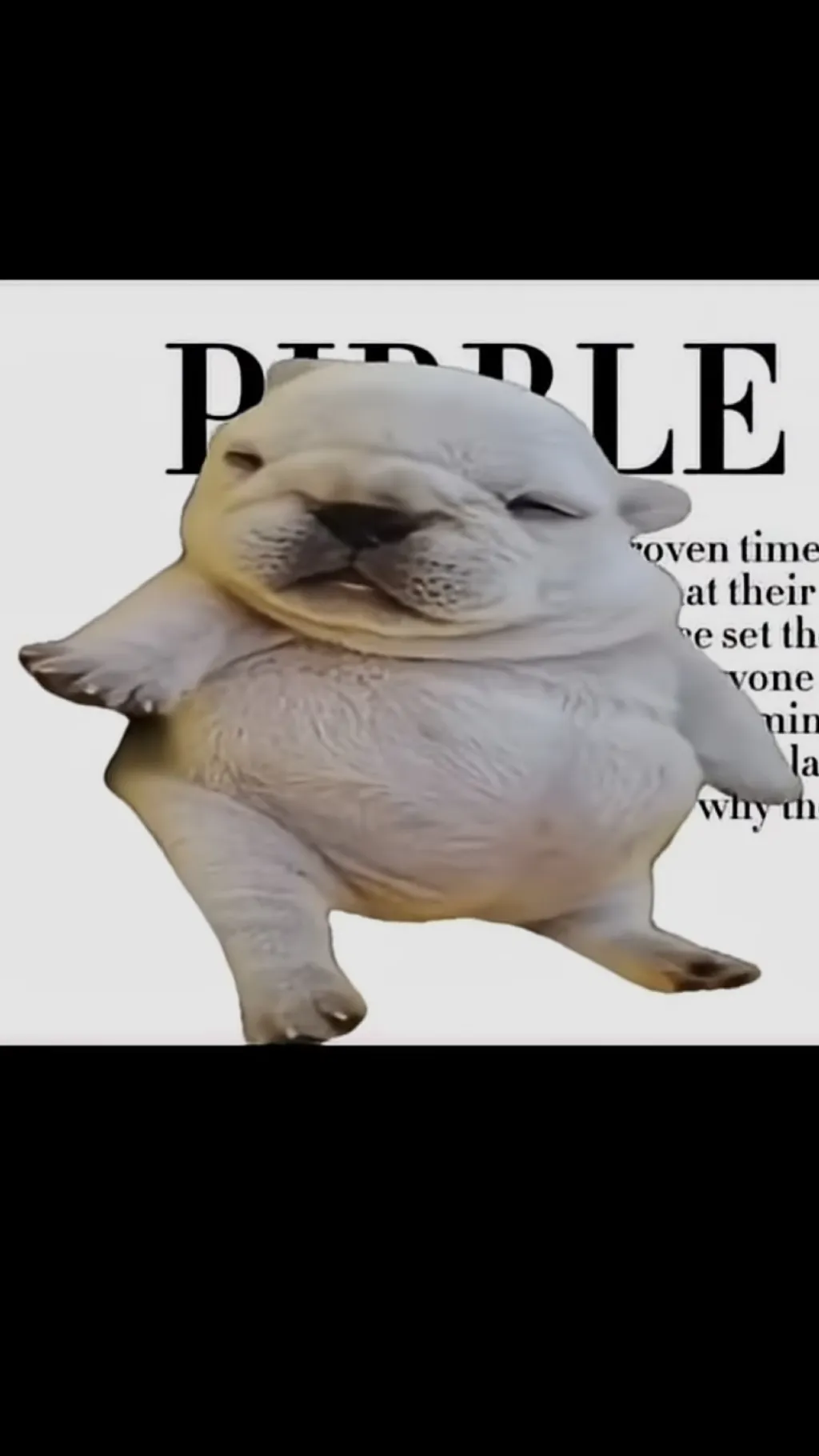 ai character: Pibble background