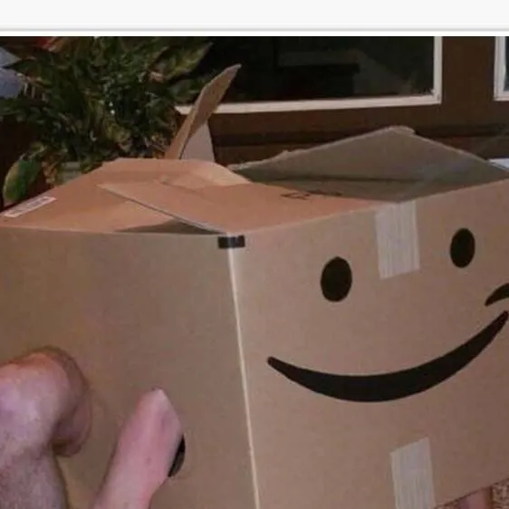 chat with ai character: Timmy the box