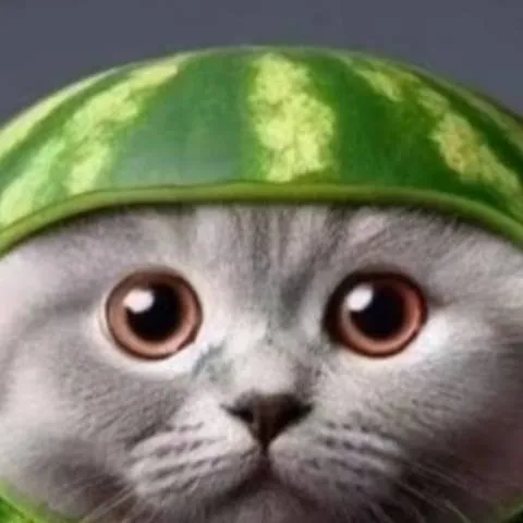 chat with ai character: котоарбуз