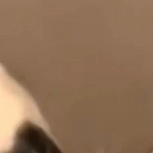 chat with ai character: kokushibo x douma