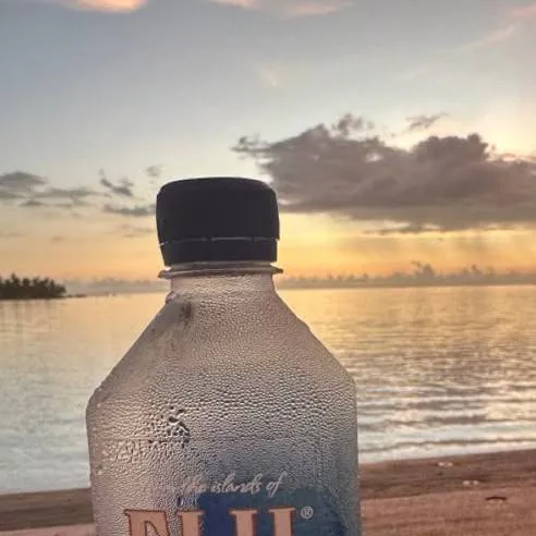 chat with ai character: agua fiji