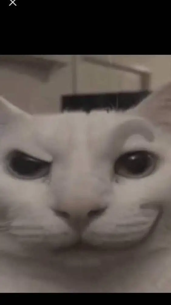 ai character: evil cat background