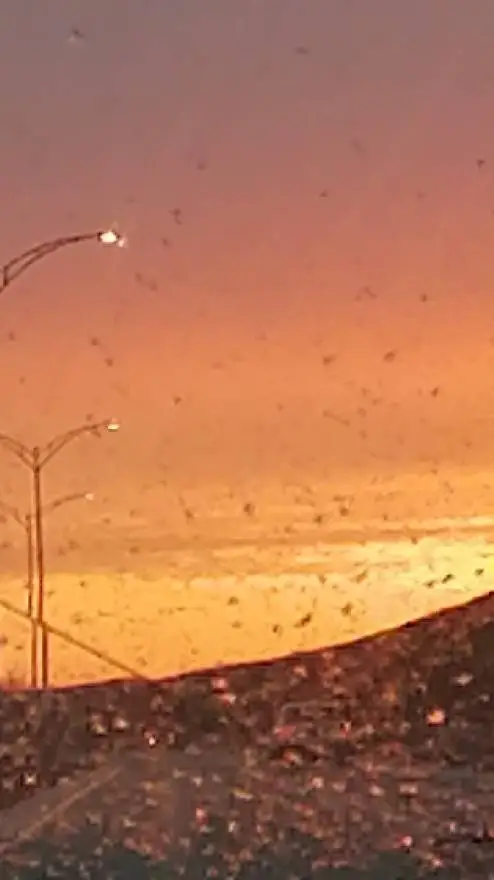 ai character: aph hâte you background