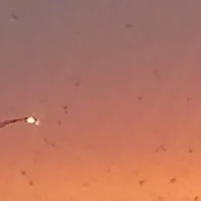 chat with ai character: aph hâte you