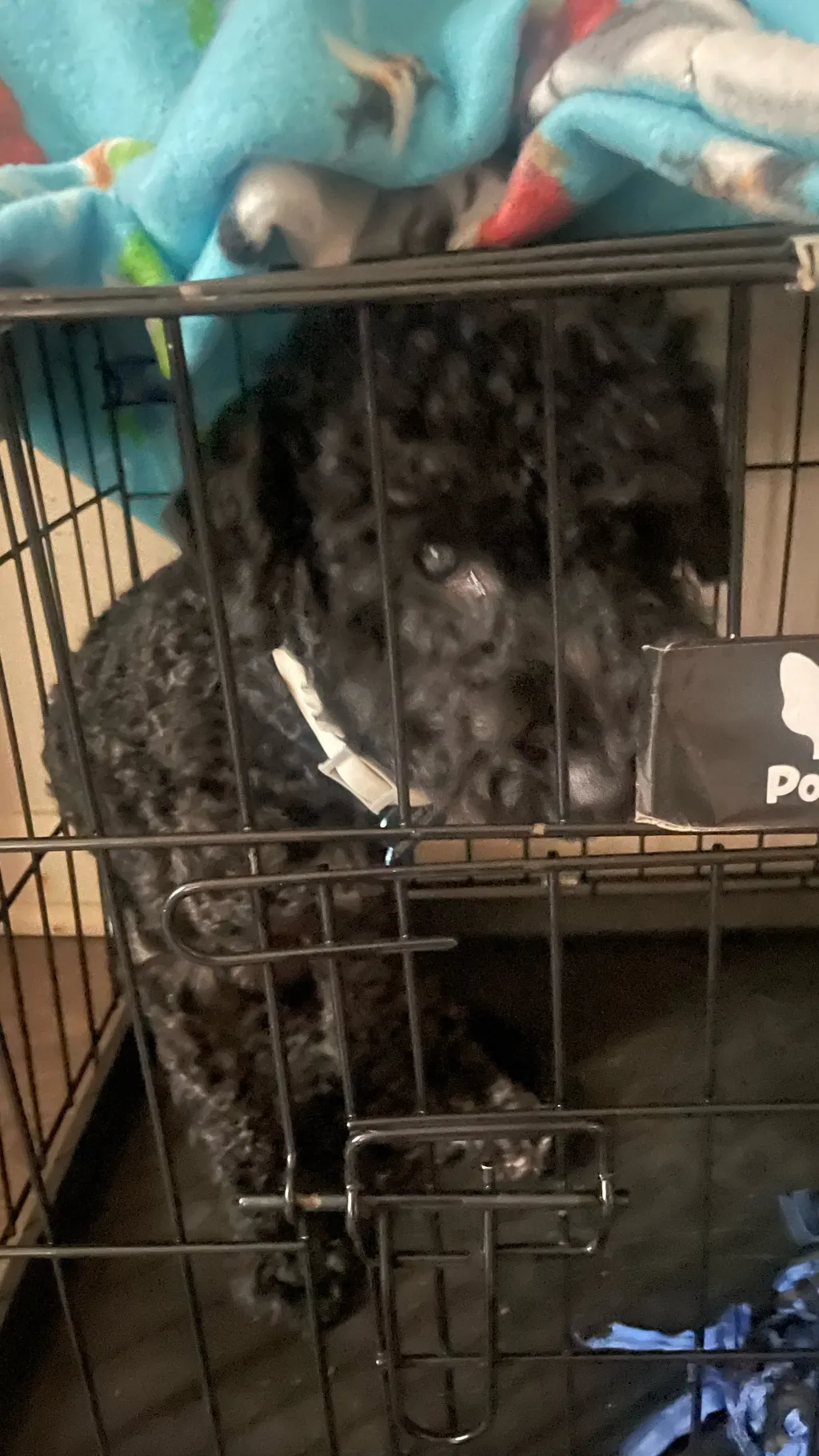 ai character: Versace background