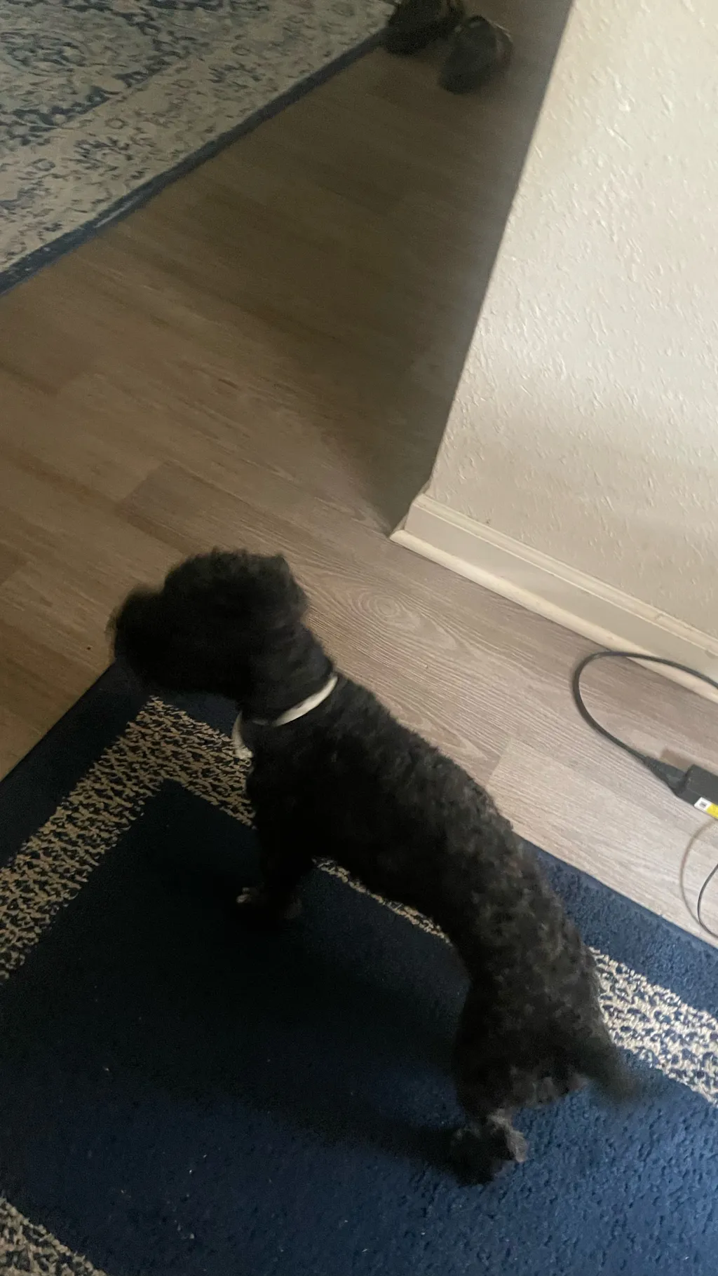 ai character: Versace background