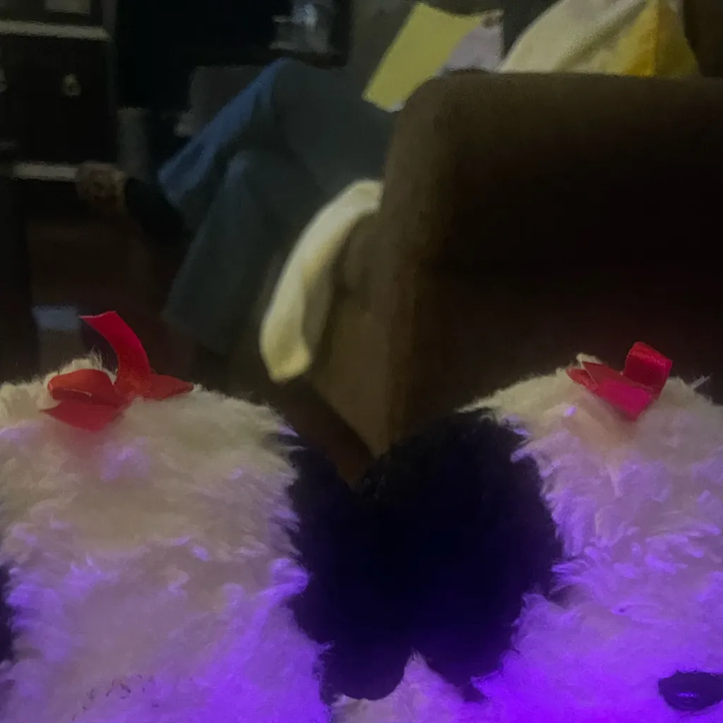 chat with ai character: Oreo siblings