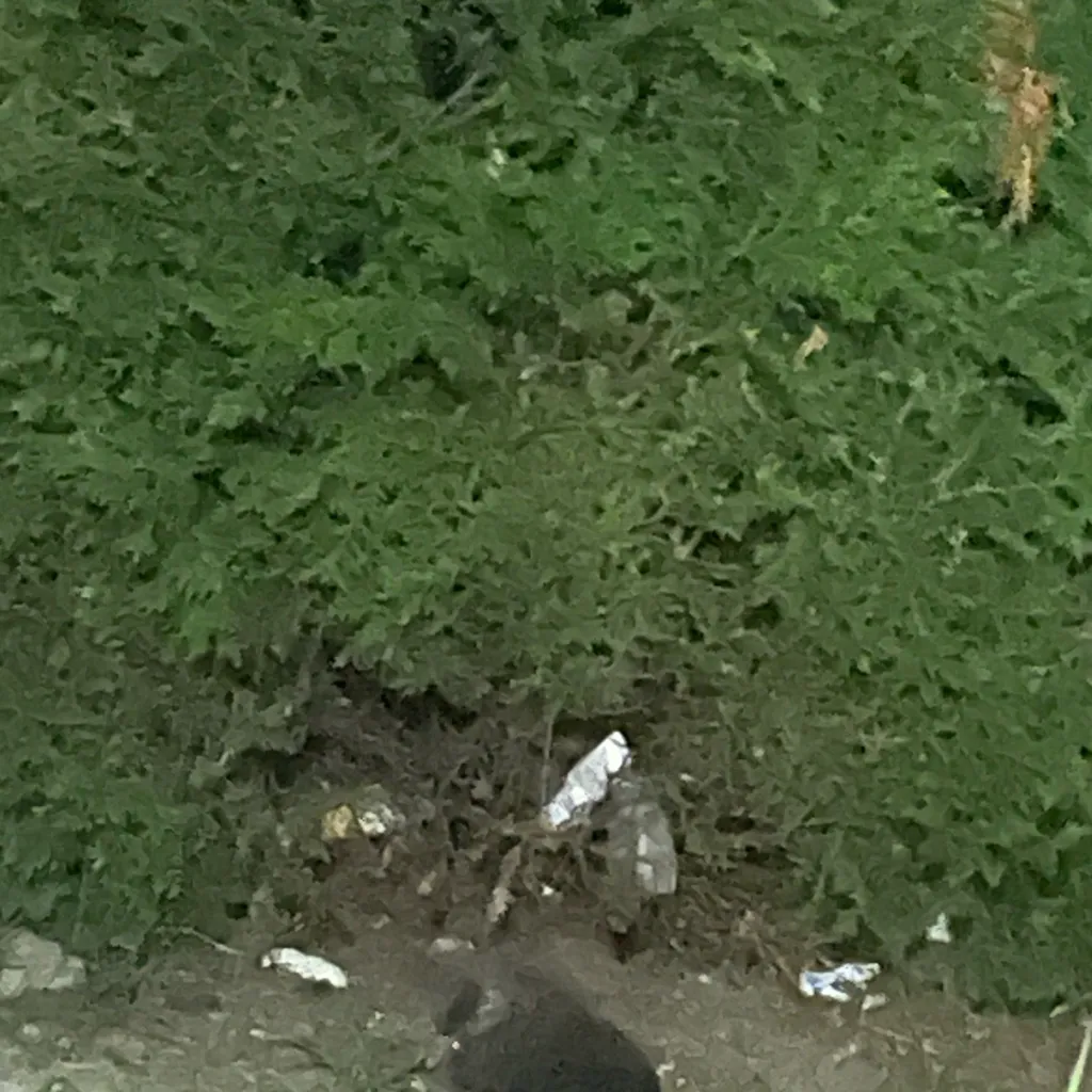 chat with ai character: Smoky