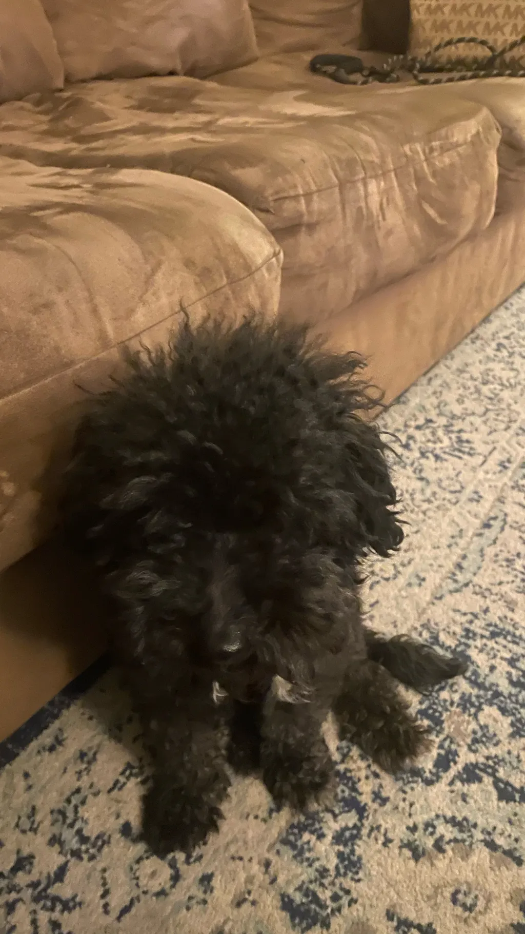 ai character: Versace background