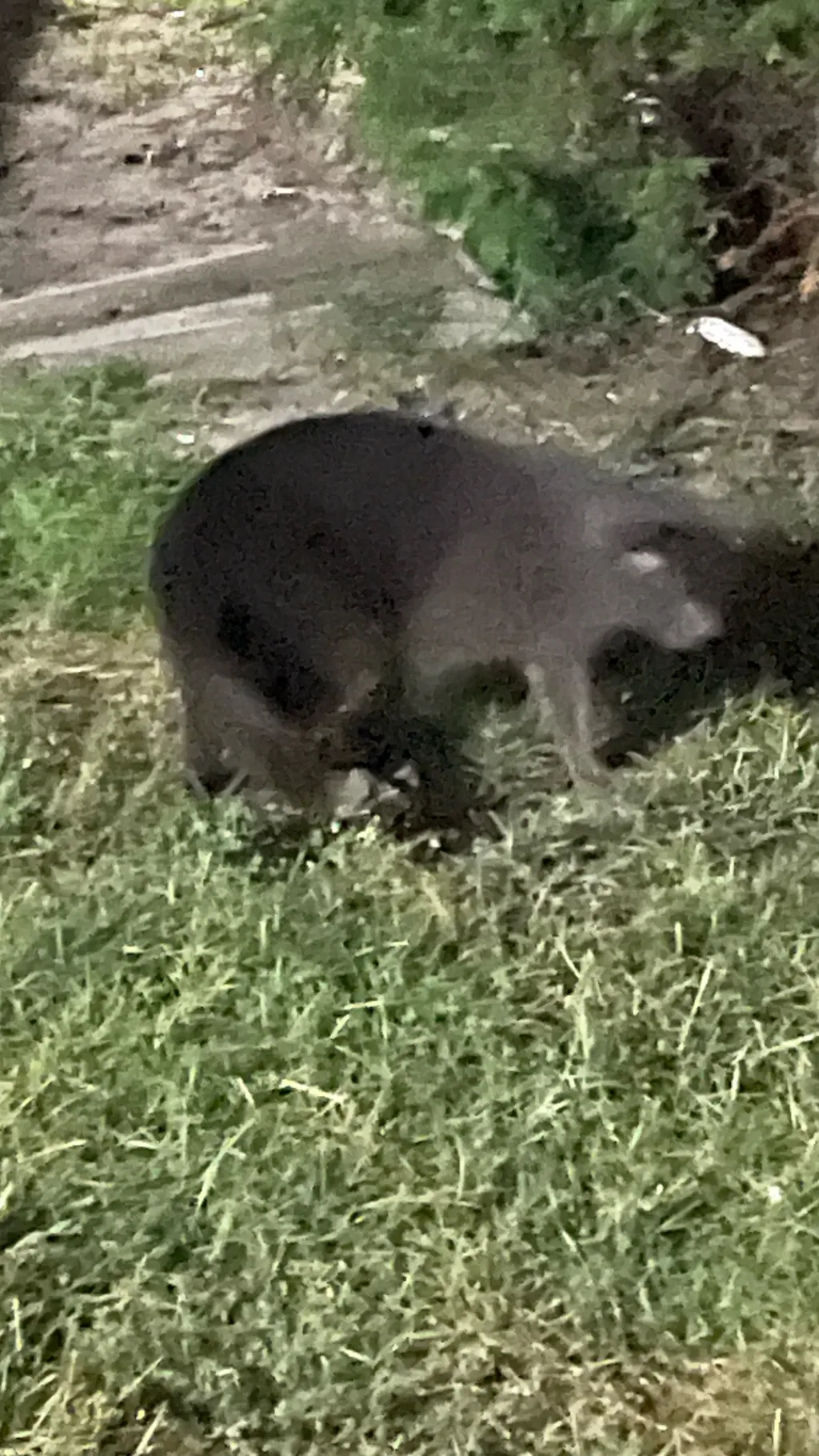 ai character: Smoky background