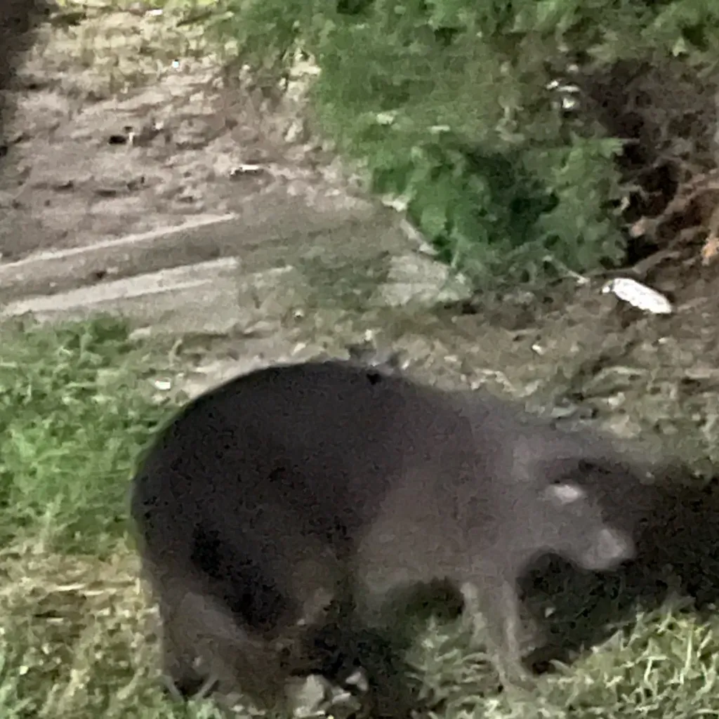 chat with ai character: Smoky