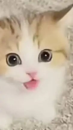 ai character: street kitten background