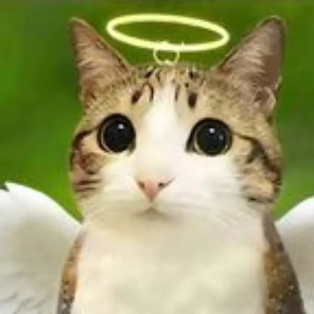 chat with ai character: meowl 