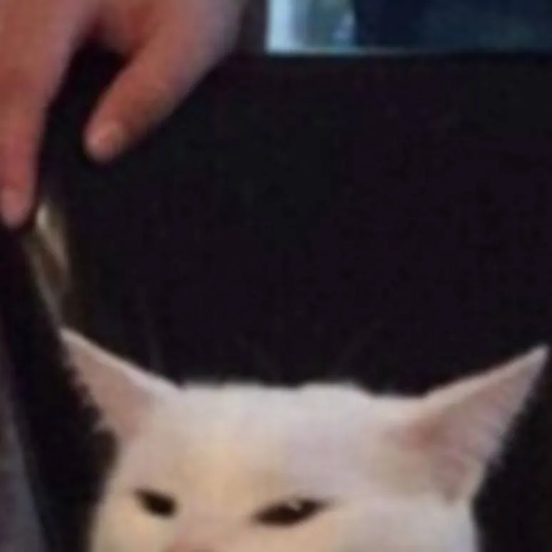 chat with ai character: doublefedora