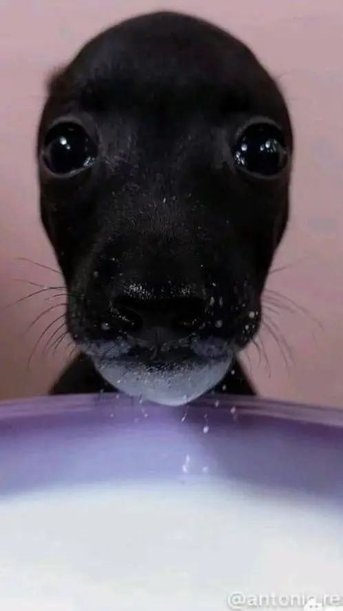 ai character: familia depre background