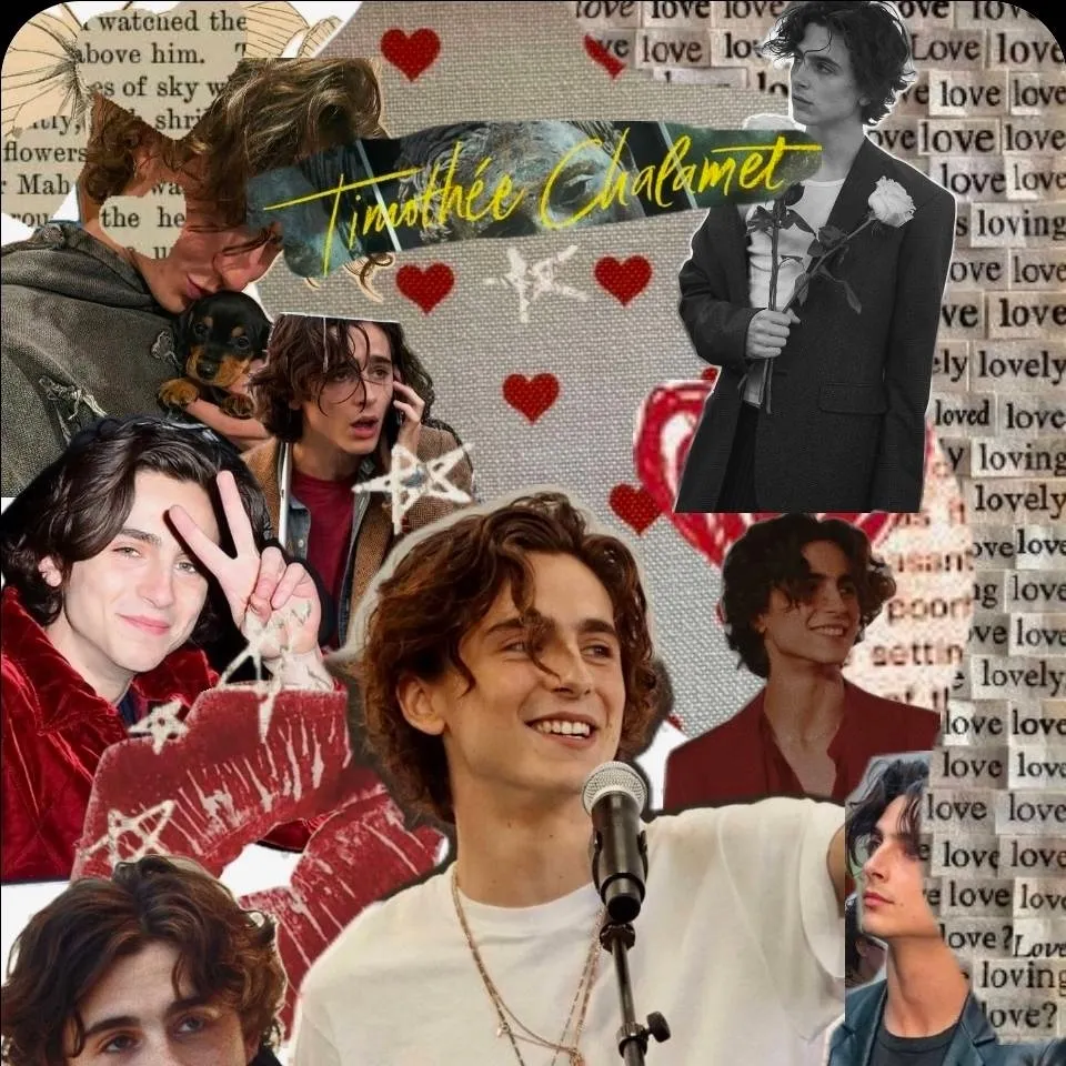 chat with ai character: Timothée Chalamet