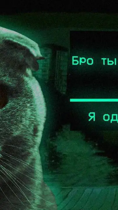 ai character: Бро ты уже background