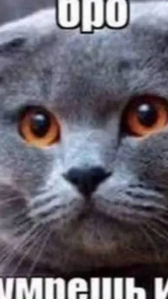 ai character: Бро Ожил background